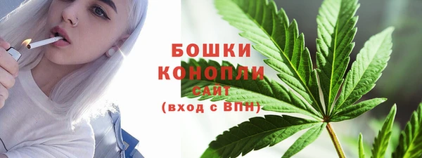 индика Богородск