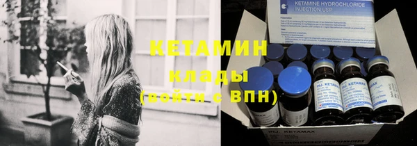 индика Богородск