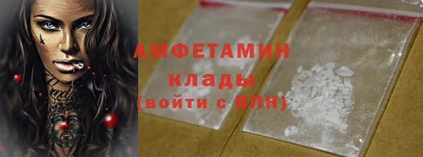 индика Богородск