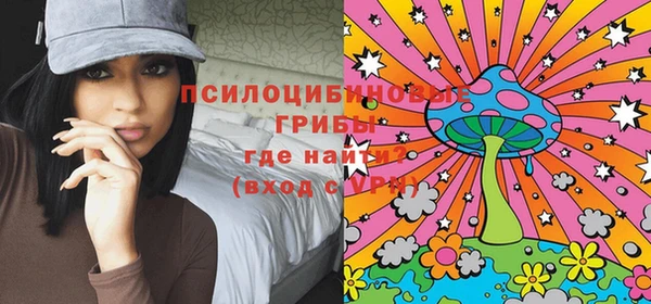 индика Богородск