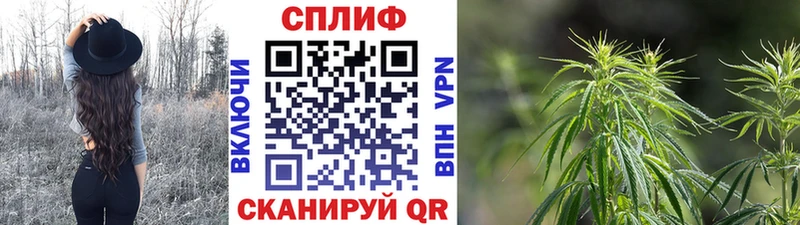 Шишки марихуана AK-47  где купить наркотик  Нерехта 